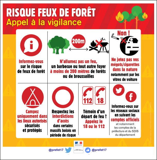 Logo : Feux de forêts