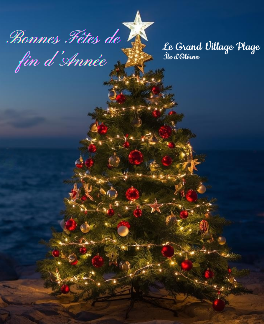 Image : Fin d'année 2025