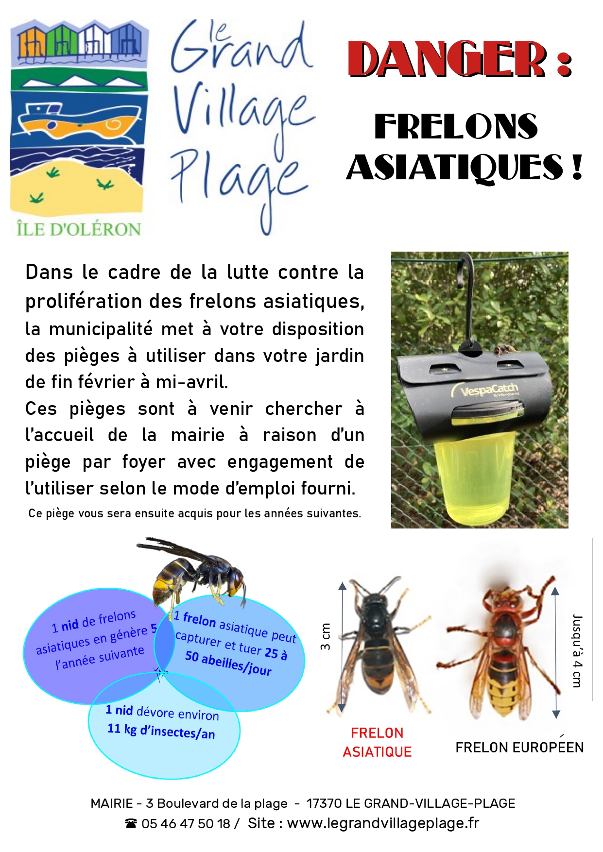 Affiche : Danger : Frelons Asiatiques