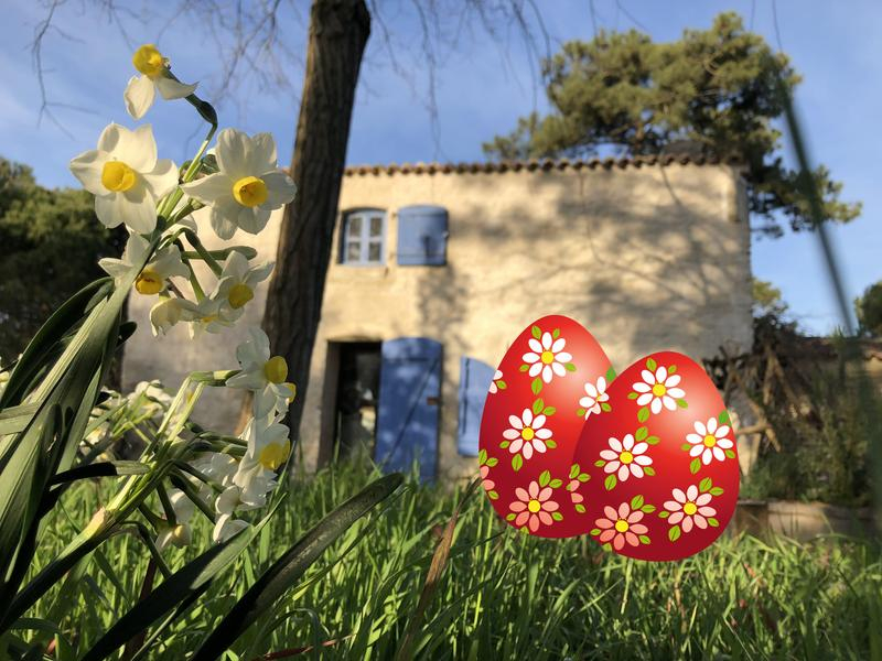 chasse-aux-oeufs-2024